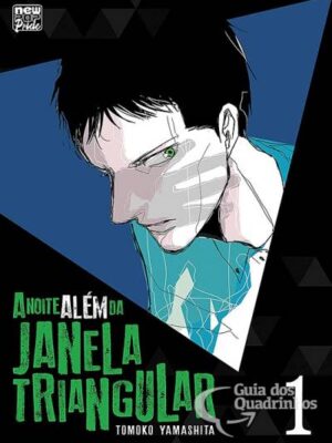 303B3B20-AFAA-4AFF-BA82-2756C24E2BAD A Noite Além da Janela Triangular 1