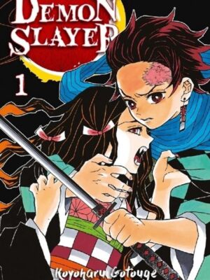 Demon Slayer 1 Demon Slayer Pacote 1 ao 8