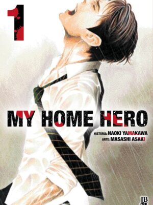 My Hero Home Pacote 1 ao 5