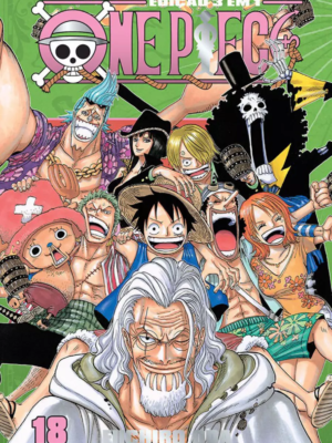 One piece 3 em 1 18