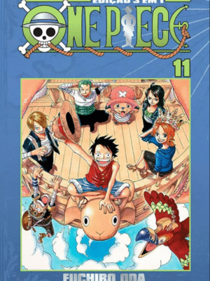 One piece 3 em 1 11