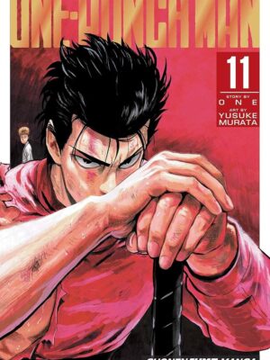 One-Punch Man 11
