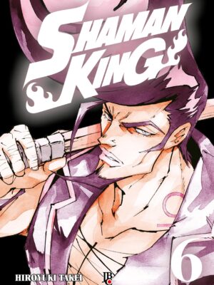 Shaman King BIG 6