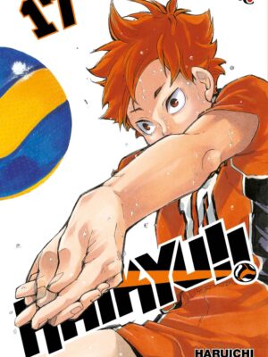 Haikyu!! 17